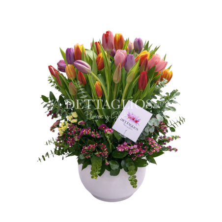 Diseño Elegante de 40 tulipanes