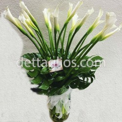 20 Alcatraces en Jarrón