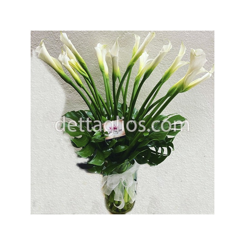 20 Alcatraces en Jarrón