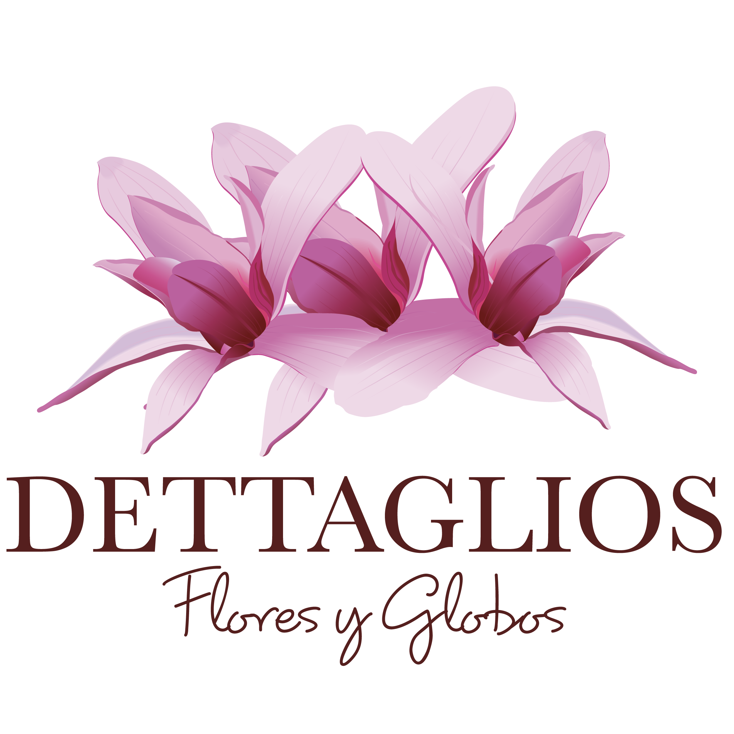 Dettaglios